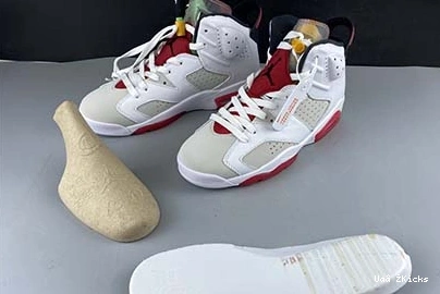 Jordan 6 CT8529-062 Air “Hare” Minimalist 675 0918